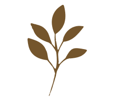 Glamify favicon